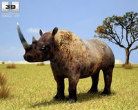 Black Rhinoceros 3D Model