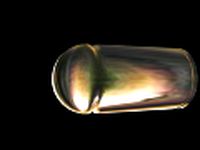 BULLET 3D Model