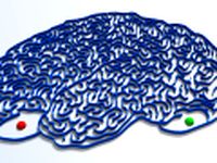 Maze 15 3D Model