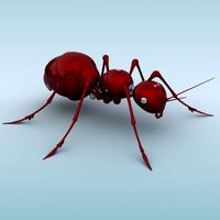 Mechanical Ant 3D Model