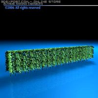 Hedge 3D Model