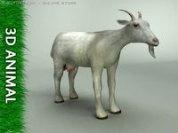 Goat 3d model 3D Model