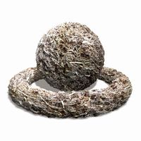 Forest Pine Cone Floor Tile 3D Model