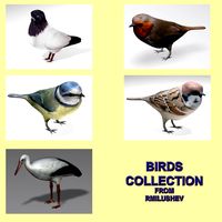 Birds collection 3D Model