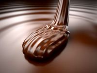 Mousse of Chocolate 3D Model