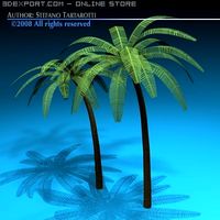 Palm 3D Model