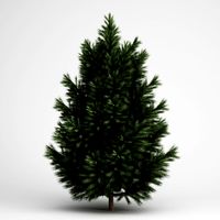 CGAxis European Black Pine 23 3D Model