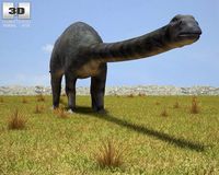 Diplodocus Diplodocus Longus 3D Model