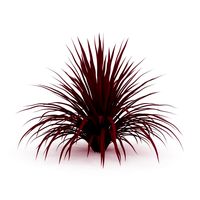 CGAxis Cabbage Tree 3D Model