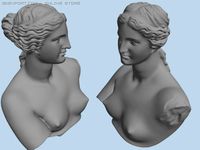 Venus Bust 3D Model