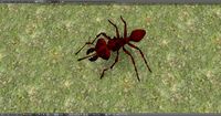 Antz 3D Model