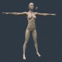 Female base woman hi 3D Model