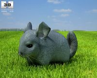 Chinchilla Chinchilla 3D Model