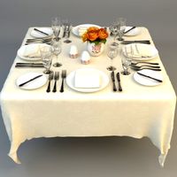 Dining Table Place Settings 3D Model
