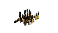 Download free Low Poly 22 LR Rounds 3D Model