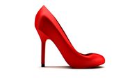 Zara Suede Court Shoe 3D Model