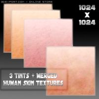 Human skin 3D Model