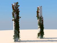 Flowers 3D Model