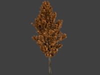 High Poly Autumn Tree 2 3D Model