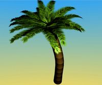 Palm 3D Model
