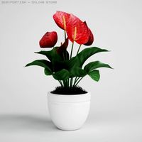 Tropical Plant in Pot CGAxis models 006 23 3D Model