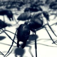 Ant 3D Model