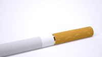 Cigarette 3D Model