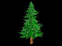 Toon Textured Pine Tree 3D Model