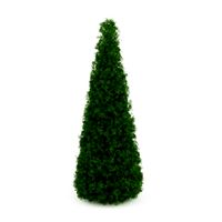 CGAxis Eastern Arborvitae 3D Model