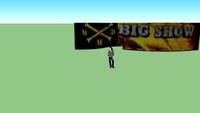 Big Show Minitron