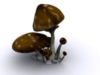 Brown Mushrooms 3D Model
