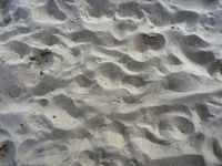 Texture Beach Sand collection 3D Model