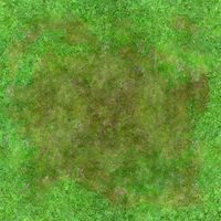 Seamless 2048X2048 Aerial Forest Clearing 3D Model