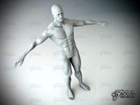 Male body Vray 3D Model