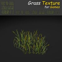 Plains Grass 3D Model