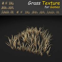 Dry Wild Grass 3D Model