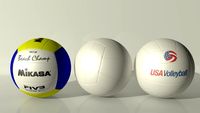 Volley Ball Collection 3D Model