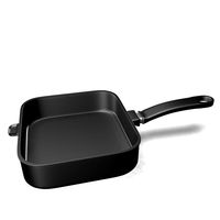 Pan 10122010 3D Model