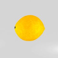 Lemon 3D Model