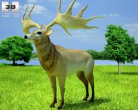 Irish Elk Megaloceros Giganteus 3D Model