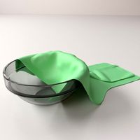 Cloth In Bowl 3D Model