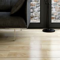 Beach Floor Boards 3D Model
