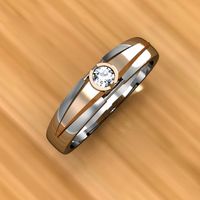 Ring 09 3D Model