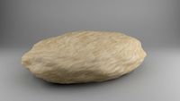 Sandstone Rock 3D Model
