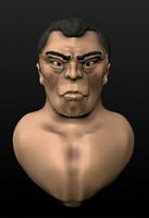 Black Haired Man Head 3D Model