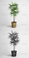 CGAxis Potted Palm Tree 16