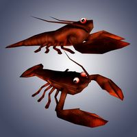 Low Poly Lobster