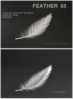 Feather 03