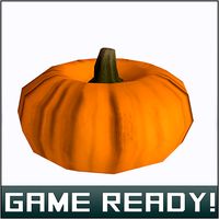 Autumn Pumpkin #6