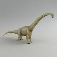 Brachiosaurus 3D Model